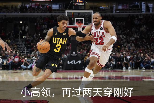 小高领，再过两天穿刚好