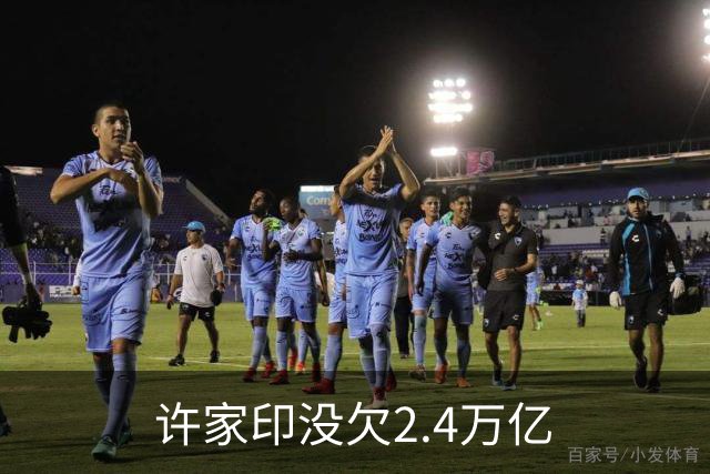 许家印没欠2.4万亿